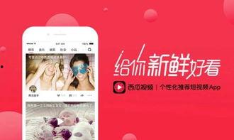 吃瓜视频天堂 正能量,传递正能量的网络乐园